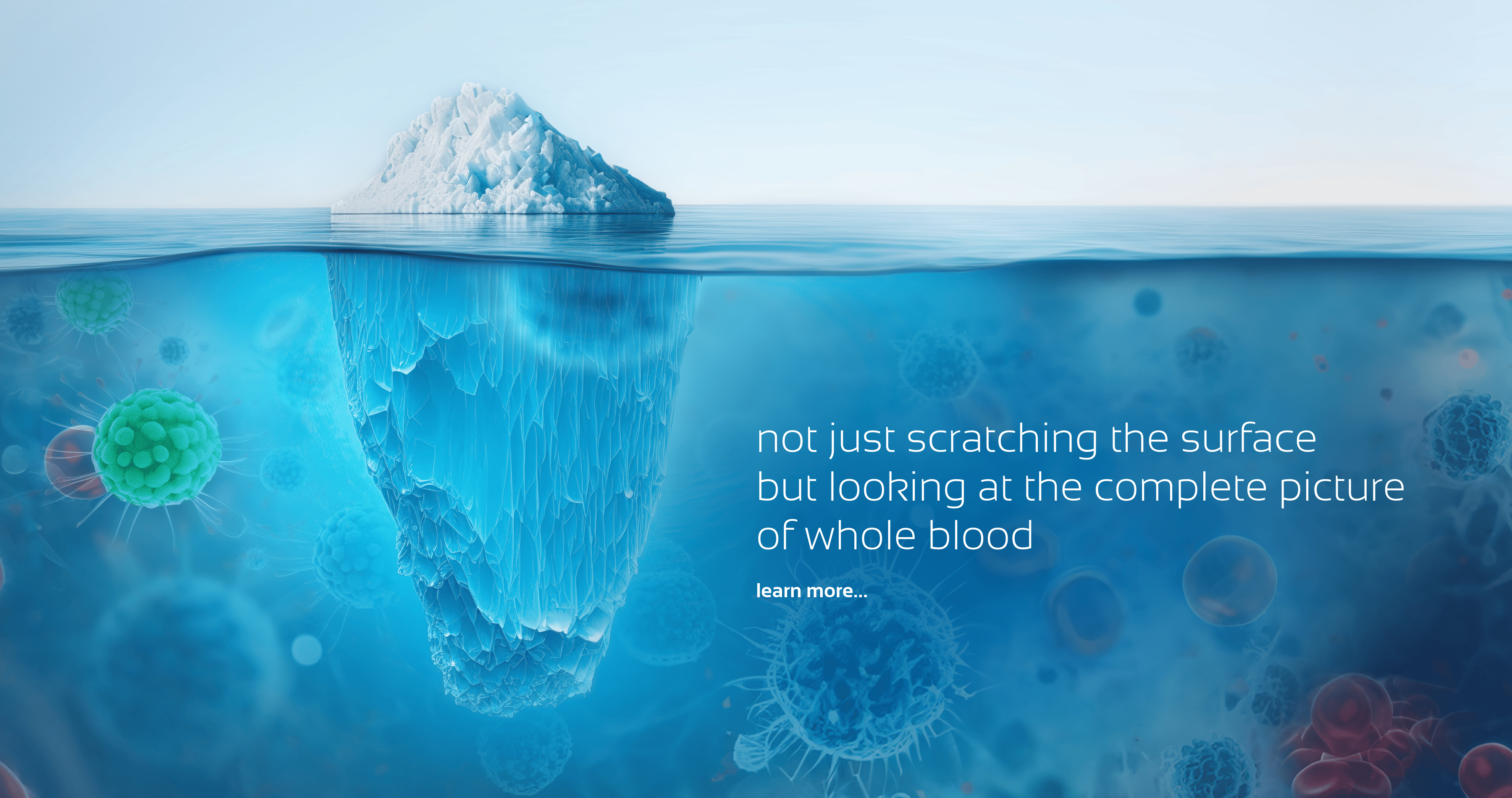iceberg – we look at what others don’t see